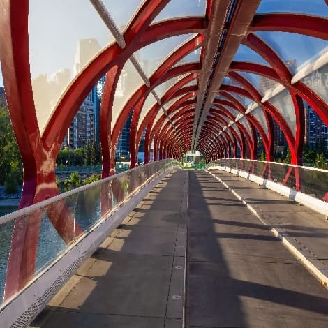 Secret Food Tours: calgary