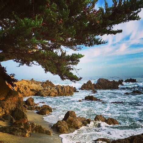 Secret Food Tours: carmel