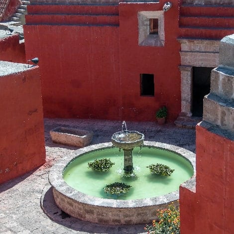 Secret Food Tours: catalina