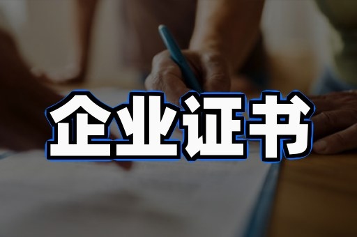 某大型国企资质证书定制案例